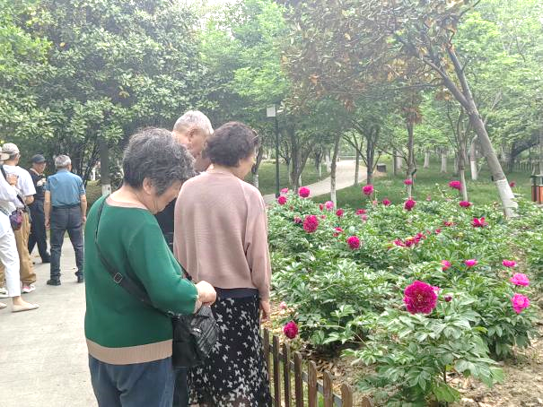 d92d71bd96128008ee66f52a4b64ecd